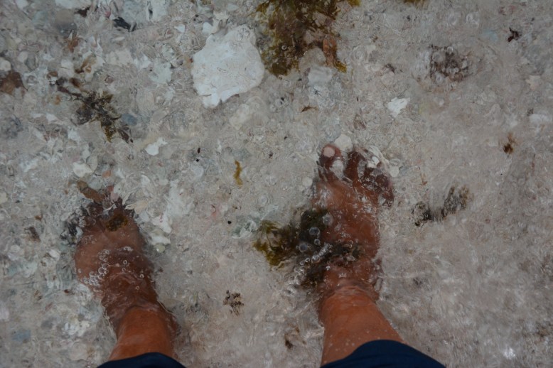 Photo by Razia Barsatie.