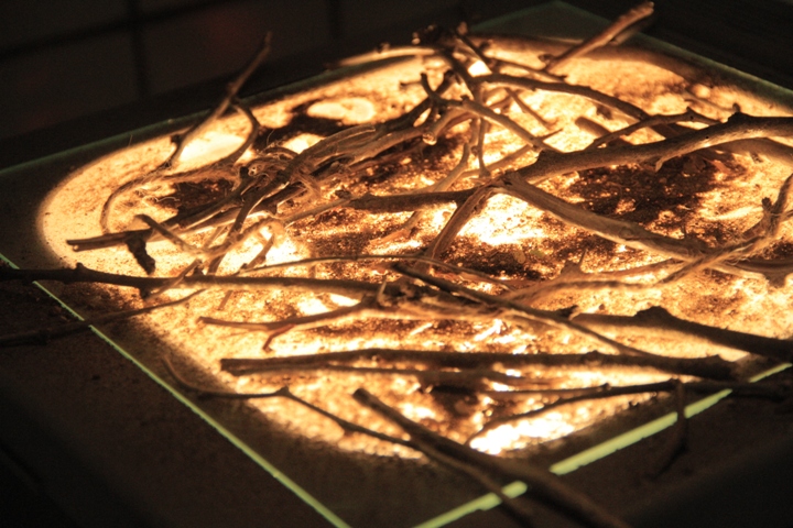 Detail of Aiko Roudette ‘Wondering the Lacuna’. Photo by Rebecca Roos.